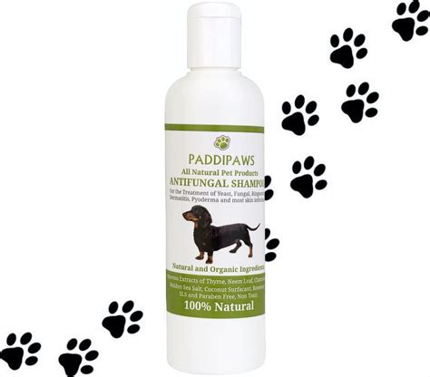 100 Natural Anti Fungal Dog Shampoo Yeast Infection Treatment For