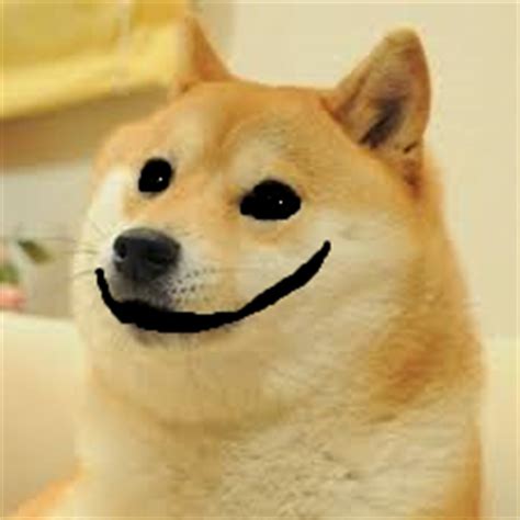 The great collection of doge wallpaper 1920x1080 for desktop, laptop and mobiles. EVIL DOGE. | Doge | Know Your Meme