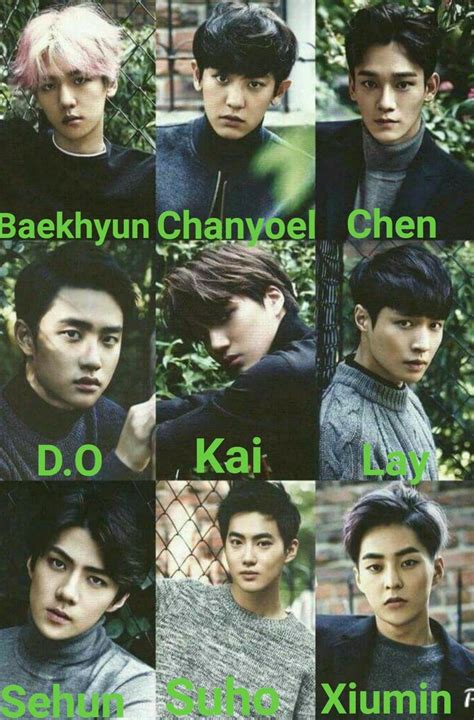 I just interpreted it the way i seemed fit, so please don't take this as 100% perfect. Exo Members with name in 2020 | Exo members, Exo, Exo fan