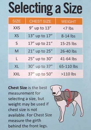 If your cat weighs somewhere between 9 to 13 pounds, use the medium. Thundershirt in Behavioral Problems