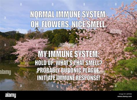 Allergies Season Funny Meme For Social Media Sharing Spring Time