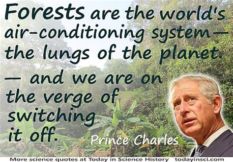 Deforestation Quotes 45 Quotes On Deforestation Science Quotes