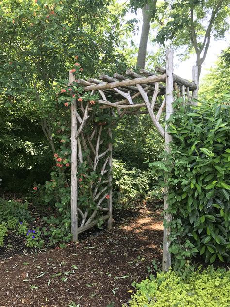 How To Build A Garden Arbor Out Of Branches And Limbs Garden Ftempo