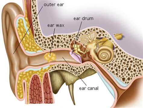 Ear Wax Blockage Causes Symptoms How To Remove Ear Wax