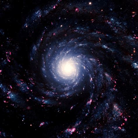 Vida y muerte de las estrellas pasión astronómica en la azotea