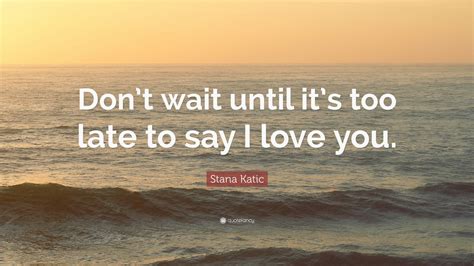 Stana Katic Quote “dont Wait Until Its Too Late To Say I Love You