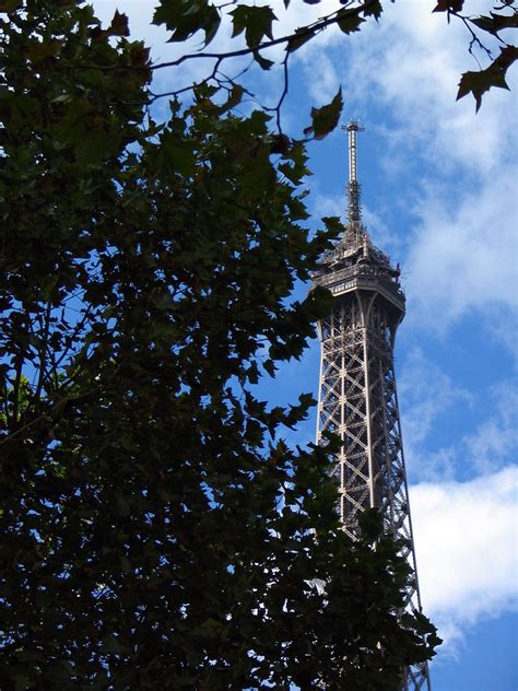 Eiffel Tower Through The Trees Paris France Day 4 Flickr