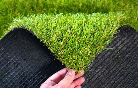 Why Is Turf Grass Bad For The Environment Storables