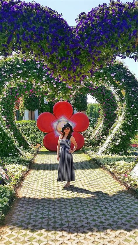 And i will share with you what are the things i did on this ticket costs at dubai miracle garden. Kristel Travels: Dubai Miracle Garden & Global Village
