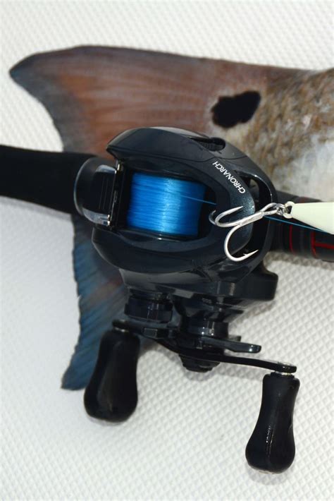 Made For Saltwater The Chronarch G Is The Low Profile Baitcaster Made