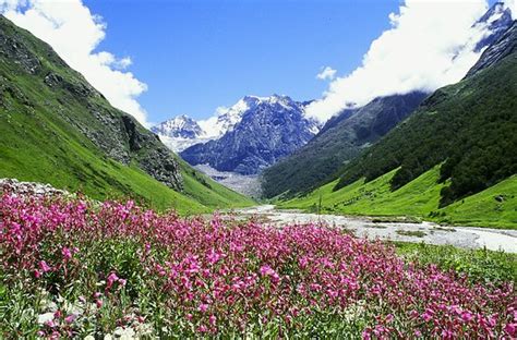 Valley Of Flowers National Park Uttarakhand 2020 What To Know