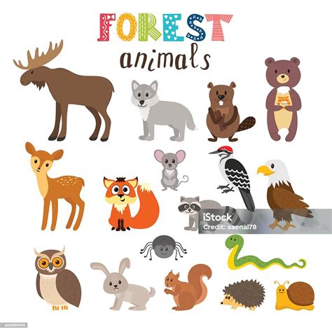 Set Of Cute Forest Animals In Vector Woodland Cartoon Style Stock
