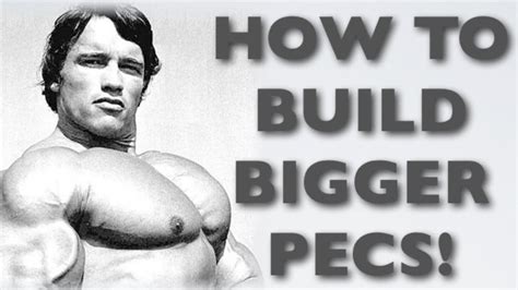 Pectoralis major and pectoralis minor. How To Build BIGGER Pecs - Pectoral Muscle Workout - YouTube