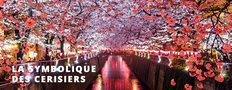 La Symbolique Des Fleurs De Cerisiers Au Japon