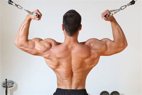 Que vivimos en la época del culto al cuerpo está más que claro, todo el mundo quien más o quien menos. Vigorexia: Causas, sintomas, tratamento! Veja aqui!