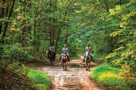 Natchez Trace Horseback Riding — Tennessee State Parks