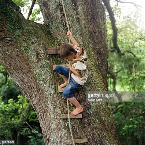 Barefoot Boys Tree Photos And Premium High Res Pictures Getty Images