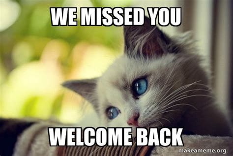 We Missed You Welcome Back First World Cat Problems Meme Generator