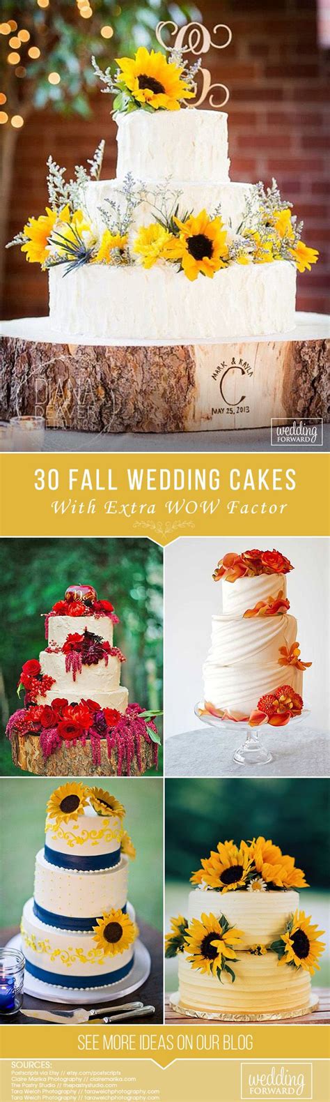 Fall Wedding Cakes That WOW Guide For 2023 Wedding Forward Fall