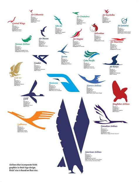 Bird Airline Logo Logodix