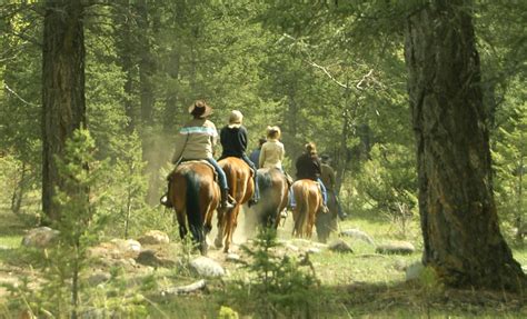 Guided Horseback Trail Rides Glacier National Park From