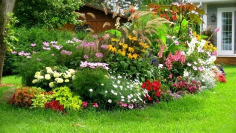 Consejos básicos para un jardín hermoso