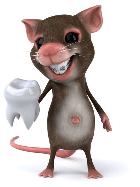 Tooth Mouse Illustrations Royalty Free Vector Graphics And Clip Art Istock