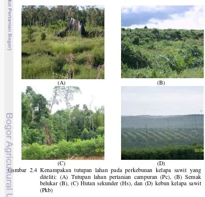 Analisis Laju Infiltrasi Pada Tutupan Lahan Perkebunan Dan Hutan Tanam