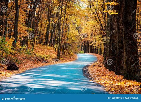 Mystic Charming Enchanting Landscape With A Road In The Autumn Forest