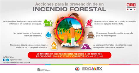 Incendios Forestales Coordinación General De Protección Civil Y