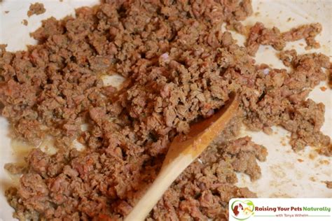 There are a few raw dog food brands on our list that require some water to be added in order to soften the food. Best Raw Dog Food Reviews: Darwin's Natural Pet Products ...