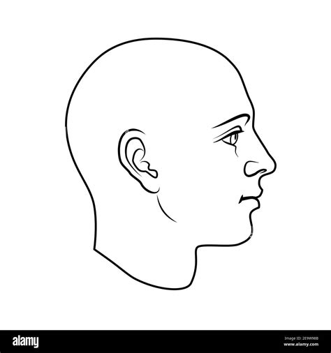 Hand Drawn Model Of Human Head In Side View Black And White Outline