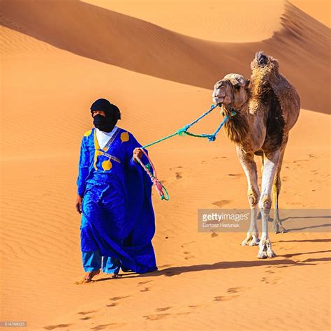 Of the neolithic wet period, pastoralism had already spread almost throughout the entire desert. Tuareg with camels on the western part of The Sahara ...