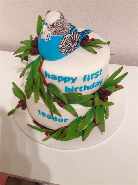 Budgie Birthday Cake Birthday Desserts Bird Cakes Bird