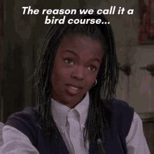 Bird Course Easy Course Gif Bird Course Easy Course Sister Act Discover Share Gifs