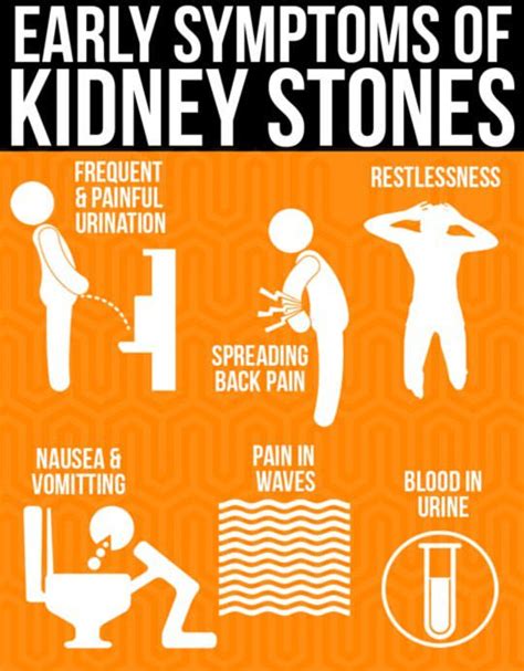 How To Get Rid Of Kidney Stones Herbal Remedies