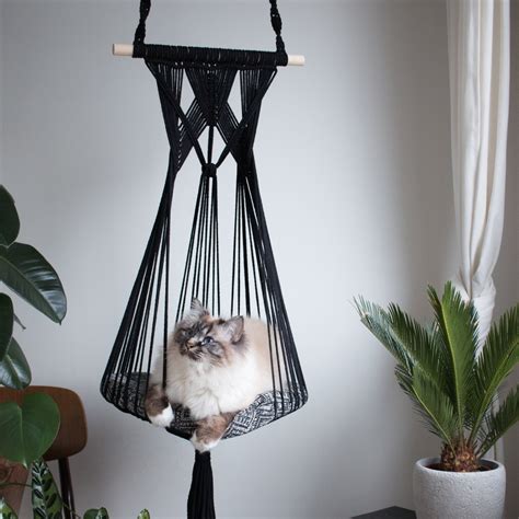 Awesome Diy Cat Beds In Hanging Window Baskets