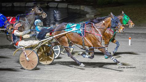 Barrys Shelby Strong In Series Win Standardbred Canada
