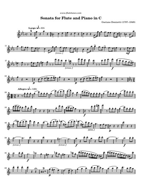 No need in special education or music skills. donizetti-flute-sonata.pdf | Musical Forms | Classical Music