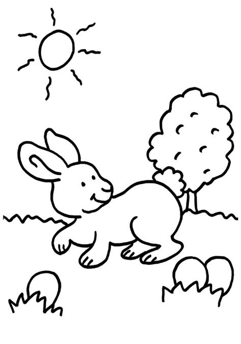 Dibujos De Conejos Para Colorear E Imprimir Descargar Pdf