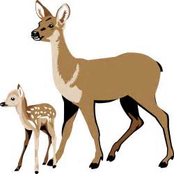 Woodland Clipart Fawn Woodland Fawn Transparent Free For Download On