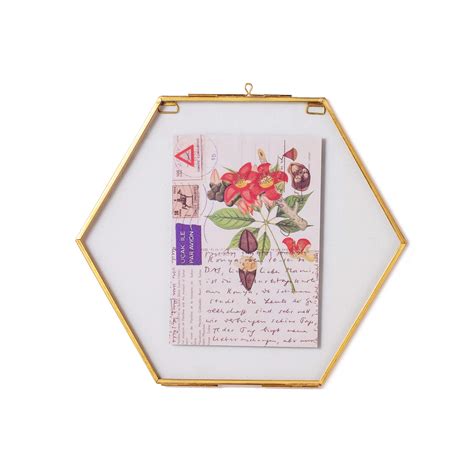 Buy Ncyp Small Hanging Hexagon Arium Brass Glass Frame For Pressed