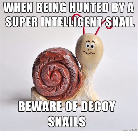 When Being Hunted By A Super Intelligent Snail Beware Of Decoy Snails