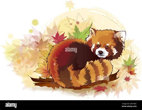 Vector Illustration Of Red Panda Cartoon Style Vector Illustrated