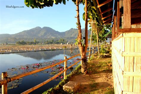 Sunrise Garden Lake Resort Lake Seloton South Cotabato Blissfulguro