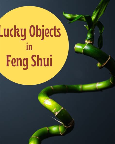 Feng Shui Animal Symbols Of Good Luck Exemplore