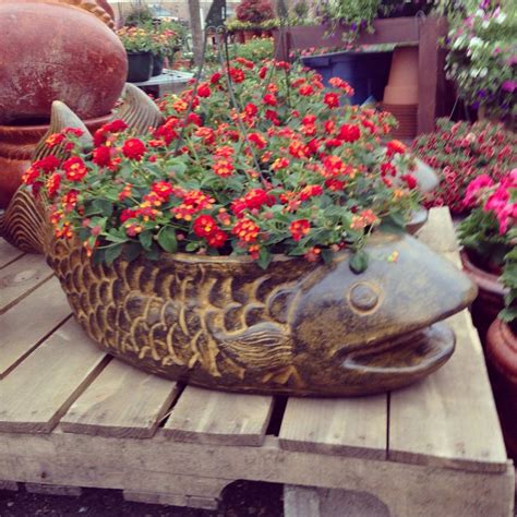 Large ceramic fish flower pot with a lantana plant at our Maple Grove