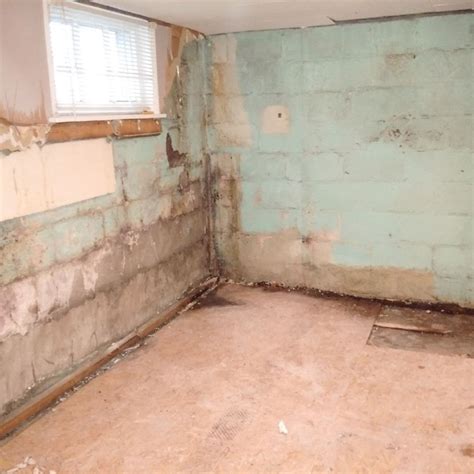 I found mold on the concrete of my basement - what should I do?