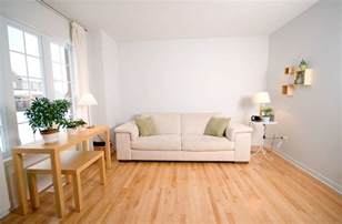 Best Flooring Options For Living Room Roy Home Design