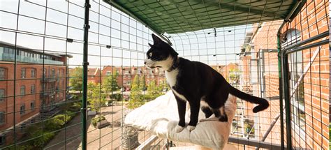 Cat Balcony Enclosure The Ultimate Urban Cat Run Omlet